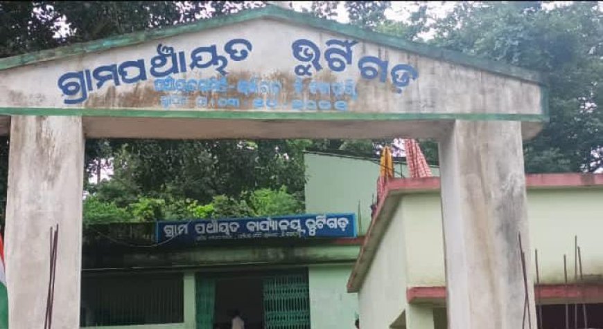 ଲାଞ୍ଜିଗଡ଼ ବ୍ଲକର ଅଡାଖୁ ଗାଁରେ ମଇସି ମାଂସ ଖାଇ ବା ଯୋଗୁଁ ଡ଼ାଇରିଆ ଆତଙ୍କ, ପ୍ରକାଶ କରିଛନ୍ତି ଅଂଚଳ ବାସୀ ଓ ଡାକ୍ତରୀ ଦଳ,