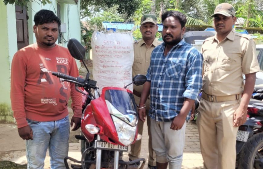 ଗଞ୍ଜେଇ ଚାଲଣ ବେଳେ ମାଡିବସିଲା ପୋଲିସ : ଗଞ୍ଜେଇ ସହ ମୋବାଇଲ ଓ ବାଇକ ଜବତ : ଦୁଇ ଗିରଫ,