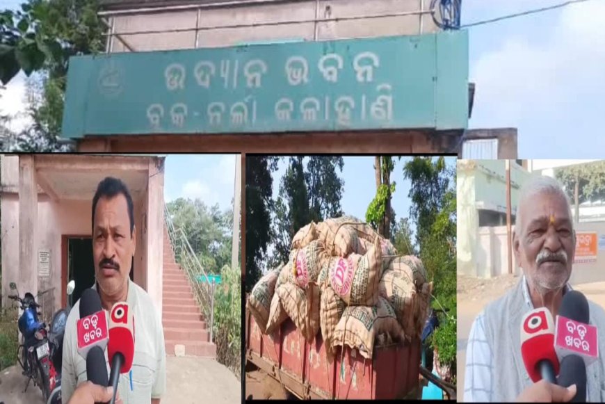ନର୍ଲା ବ୍ଲକ୍ ରେ ଫେଲ୍ ମାରିଛି ରାଜ୍ୟ ସରକାର ଙ୍କ ଆଳୁ ମିଶନ,