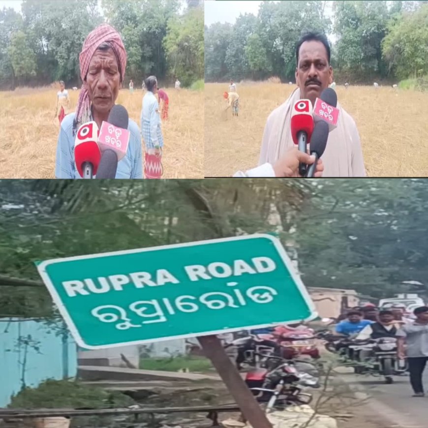 ନର୍ଲା ବ୍ଲକ୍ ର ବିଭିନ୍ନ ଅଞ୍ଚଳରେ ବାରାହା ଆତଙ୍କ,ଚିନ୍ତା ରେ ଚାଷୀ
