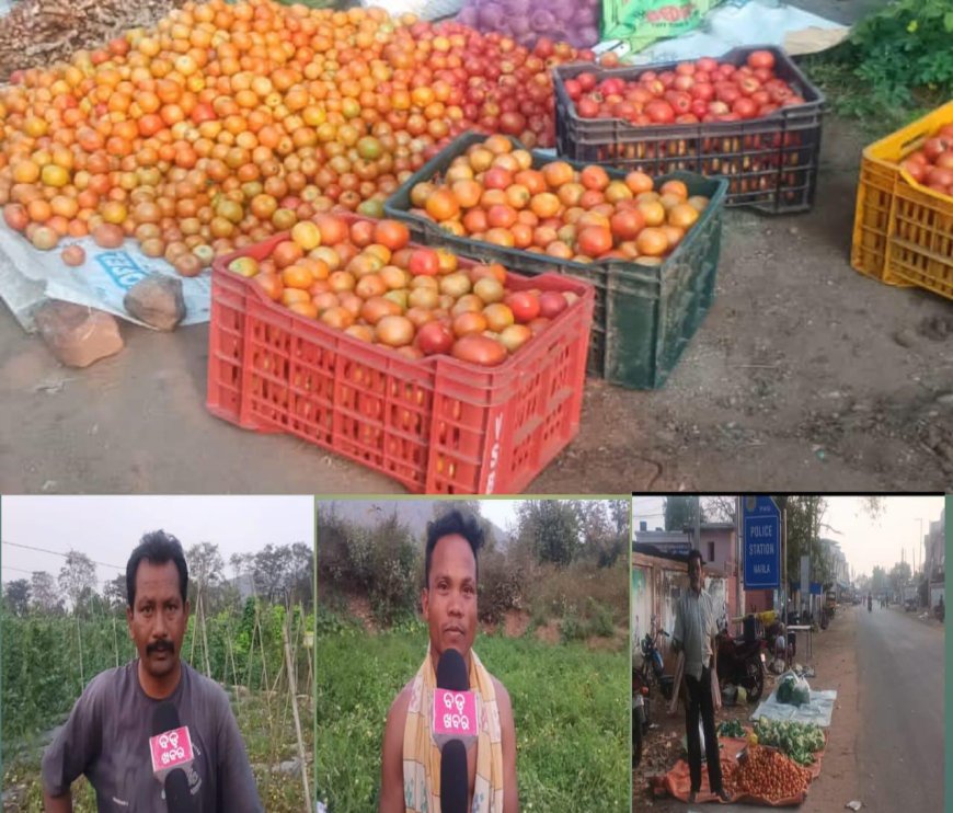 ବଜାର୍ ରେ ଟମାଟୋ ଦର ହେଲା ଶସ୍ତା ,ଚିନ୍ତା ରେ ଚାଷୀ , ଜିଲ୍ଲାରେ ଶୀତଳ ଭଣ୍ଡାର ସ୍ଥାପନ ପାଇଁ ସାଧାରଣ ରେ ଦାବୀ,