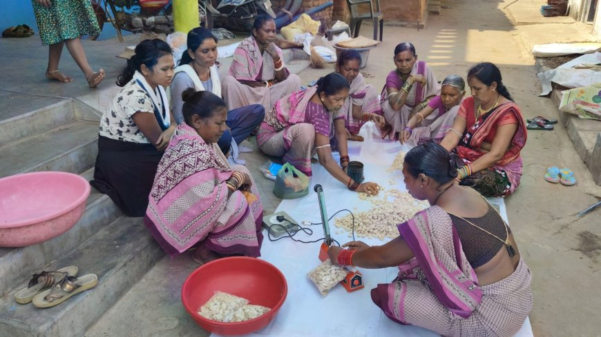 ମାଁ ତାରିଣୀ ମହିଳା ମଣ୍ଡଳ ସ୍ୱୟଂ ସହାୟକ ଗୋଷ୍ଠୀର ନିଆରା ଢଙ୍ଗର ପ୍ରୟାସ