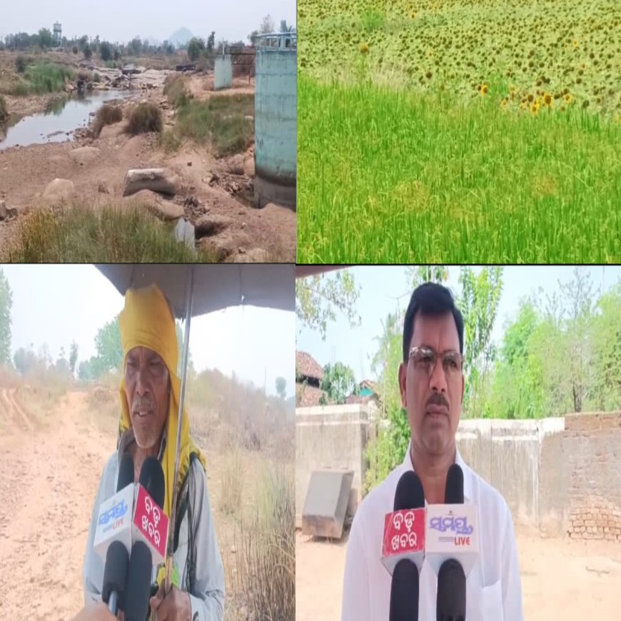 ଶୁଖିଲା ପଡିଛି ସାନ୍ଦୁଲ୍ ନଦୀ, ଚିନ୍ତା ରେ ନଈ କୂଳିଆ ଅଞ୍ଚଳ ବାସୀ,