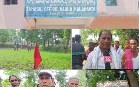 ଶେଷ ହେଲା ଗିଧାମାଲ୍ ଗାଁ ର ଗୋଚର ଓ ଅନାବାଦୀ ଜମି ଚିହ୍ନଟ କାର୍ଯ୍ୟକ୍ରମ,