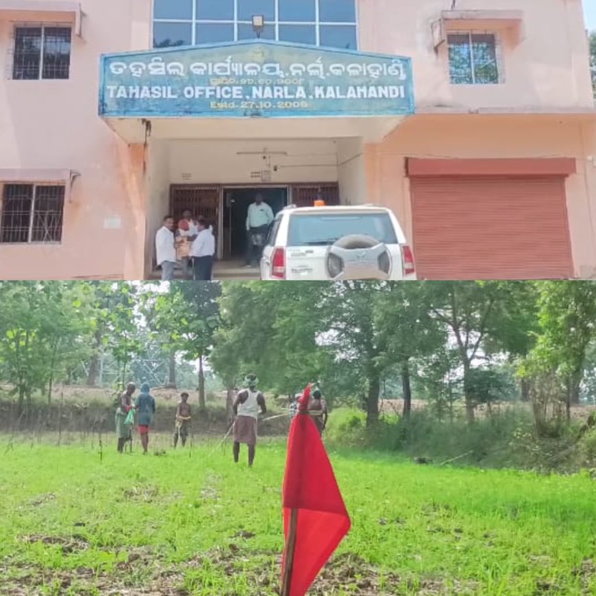 ଗ୍ରାମବାସୀ ଙ୍କ ନିଆରା ପ୍ରୟାସ, ସମସ୍ତେ ମିଶି ୫୦ ଏକର୍ ରୁ ଅଧିକ ଗୋଚର ଓ ଅନାବାଦୀ ଜମି କୁ କଲେ ଚିହ୍ନଟ,