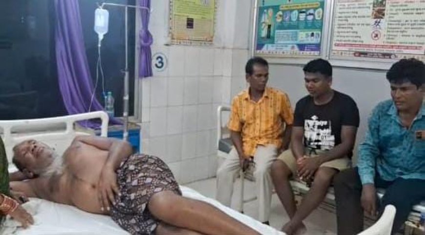 ମହୁମାଛି ଆକ୍ରମଣ ରେ ଜଣେ ଗୁରୁତର ଓ ଦୁଇ ଆହତ l